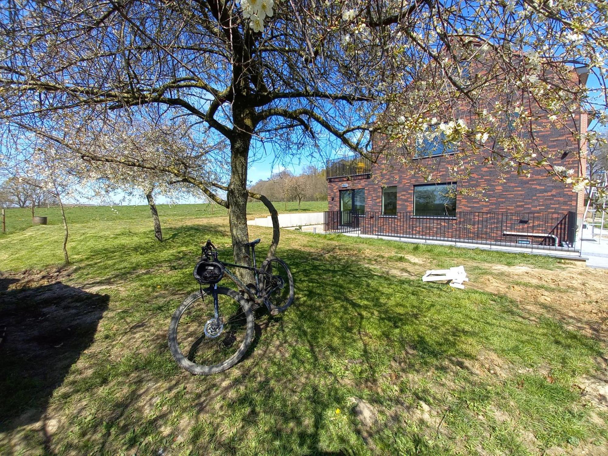 Trionfo Bed & Breakfast Gaasbeek Eksteriør bilde